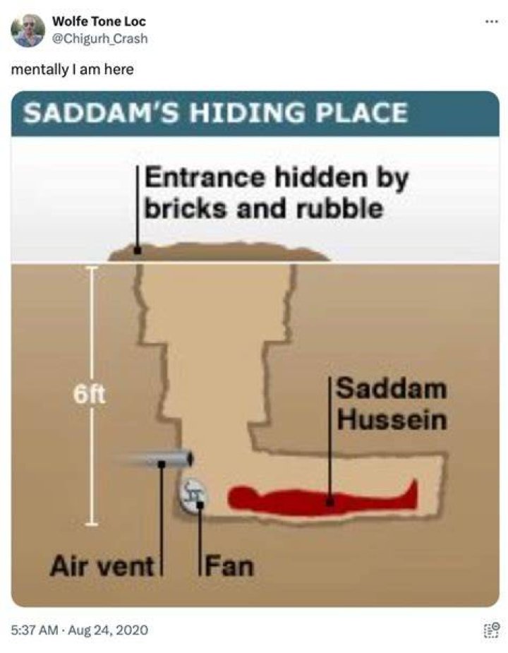 Saddam Hussein Hiding Meme: A Cultural Phenomenon